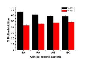 Now, a unique non-cytotoxic nanocomposite coating to prevent post-surgical infections