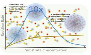 Indian Researchers have developed catalytic droplets