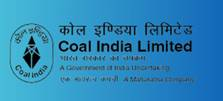 From April to August 2024, India’s total coal production reached 384.07 million tonnes (MT)