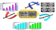 Indian Scientists have developed an efficient photocatalyst