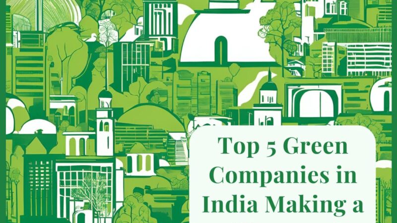 ​Top 5 Green Companies in India Making a Difference in 2024 by GoodBharat