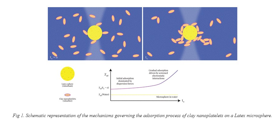 Indian Researchers Unveil New Adsorption Insights Using Nanoclays