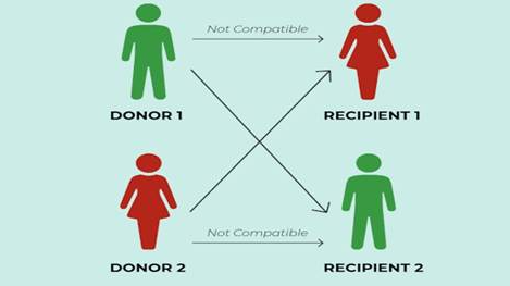 AIIMS Raipur Makes History with First Government-Led Swap Kidney Transplant in State