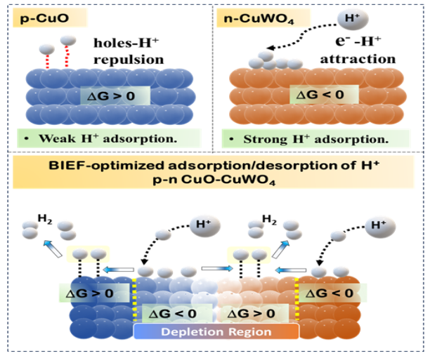 Indian Scientists Develop Novel Green Hydrogen Technique