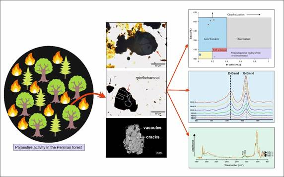 Charcoal Records Trace Prehistoric Wildfires in Permian India
