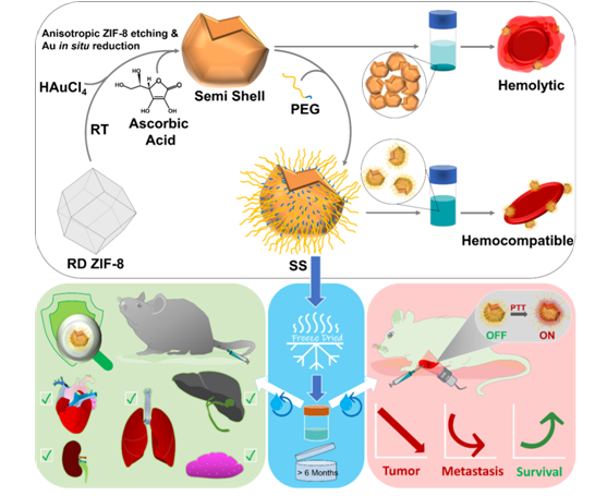 Indian researchers developed a method to burn cancer with heat