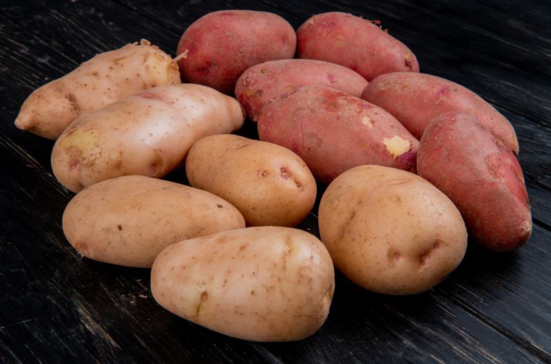 Cabinet Nods to Global Potato Research Hub in Agra