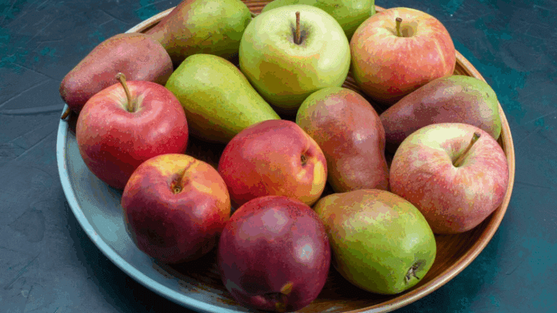 First Batch of Kashmiri Apples Heads to Delhi via Dedicated Parcel Train