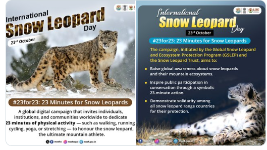 India’s First-Ever Snow Leopard Census Finds 718 Cats in the Himalayas