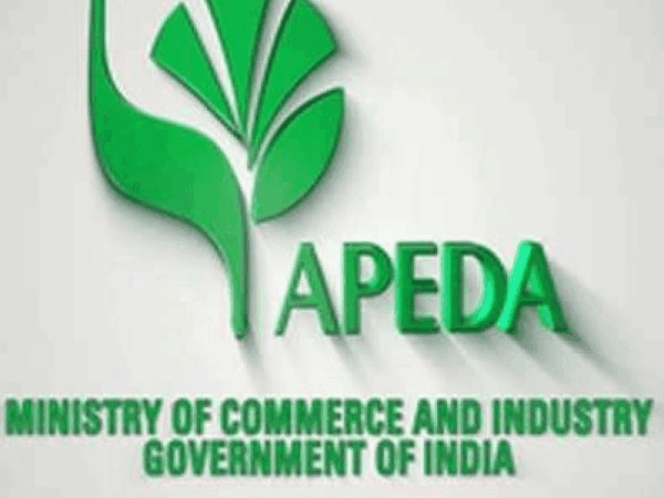 India Exports GI-Tagged First-Ever Air Shipment Indi Lime and Puliyankudi Lime to United Kingdom