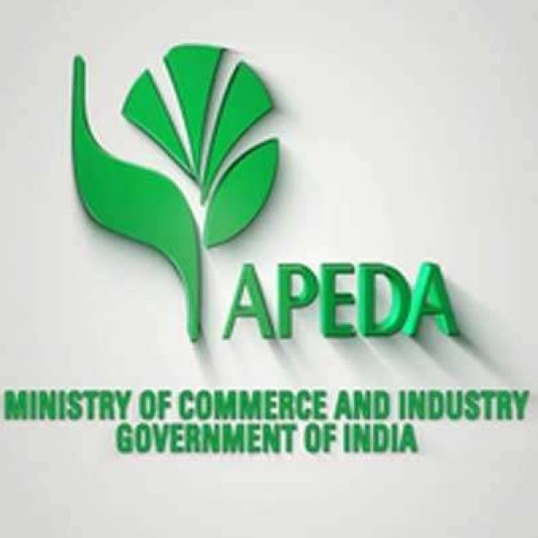 India Exports GI-Tagged First-Ever Air Shipment Indi Lime and Puliyankudi Lime to United Kingdom