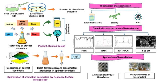 Indian Scientists Develop Plant-Based Cosmetic Lubricants