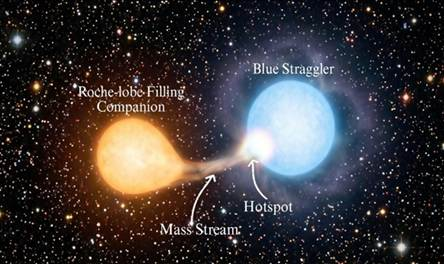 Indian Scientists Observe Active Formation of a Luminous Blue Straggler Star